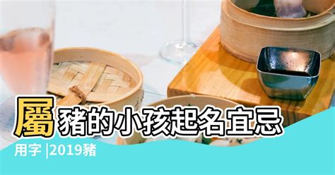 屬豬女名字|生肖豬取名宜忌：打造一生旺運好名字